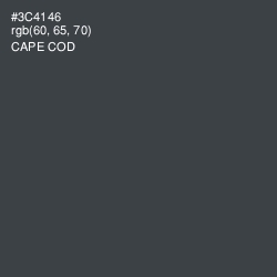#3C4146 - Cape Cod Color Image
